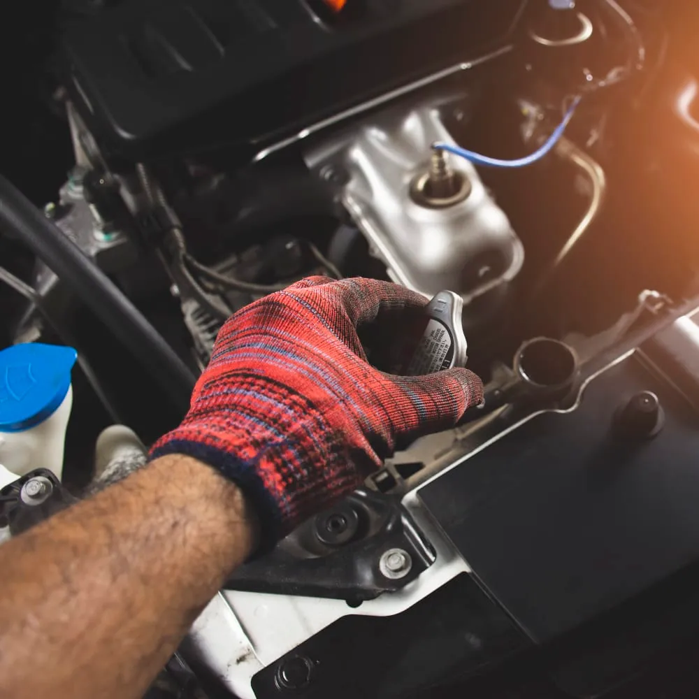 Engine Cooling in Alexandria, VA