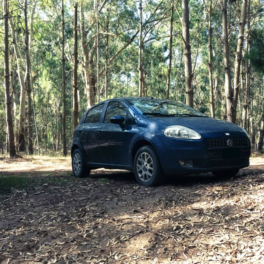 Fiat Repair and Service in Alexandria, VA