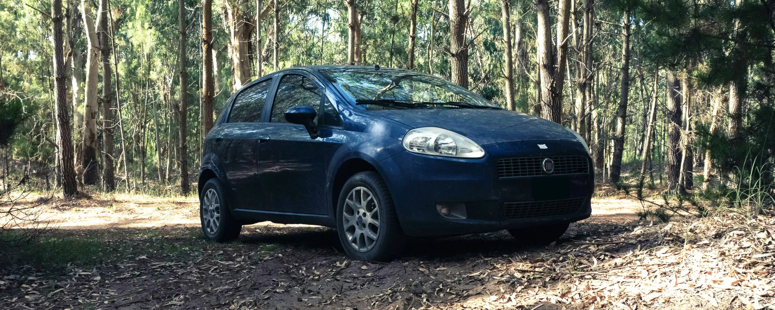 Fiat Repair and Service near Alexandria, VA